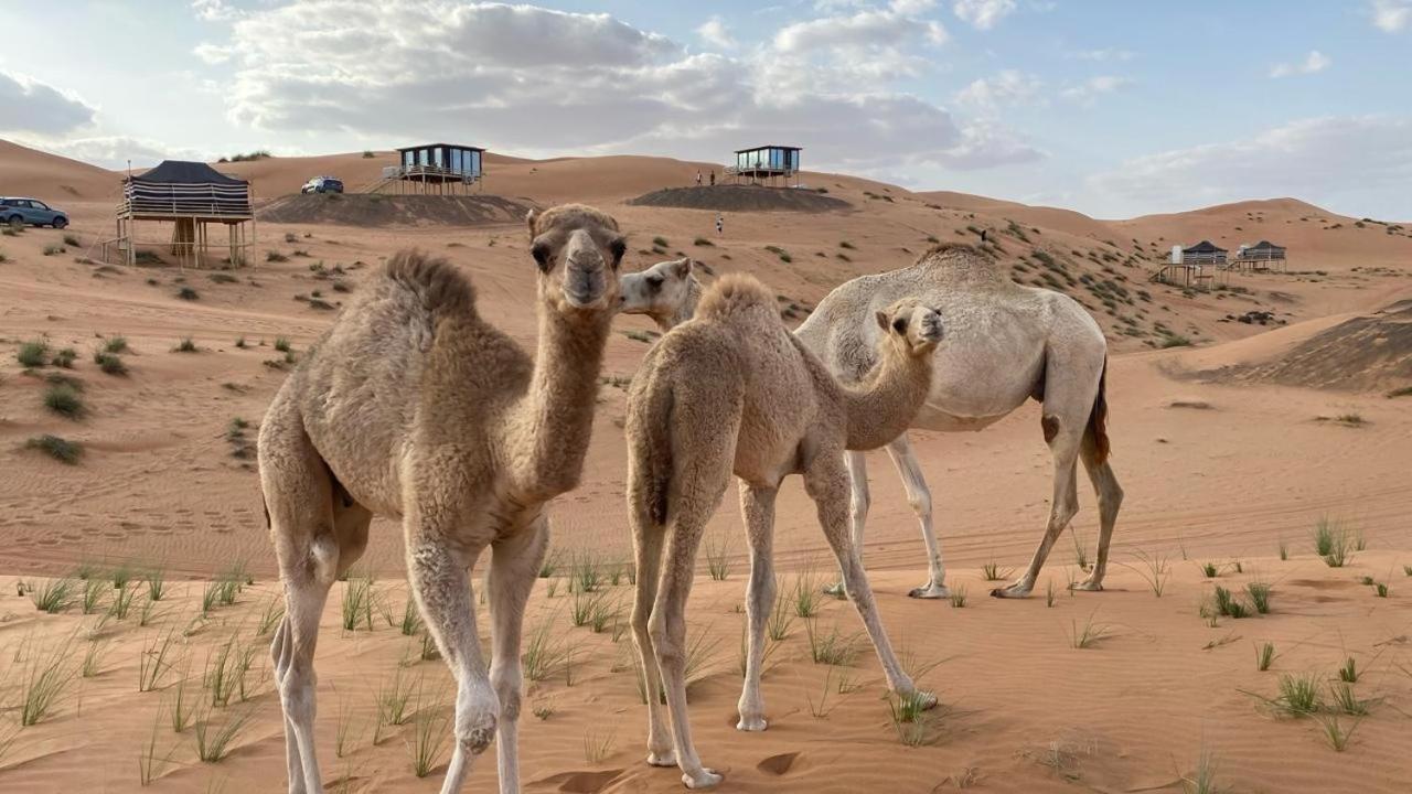Oman Desert Private Camp Shāhiq Esterno foto