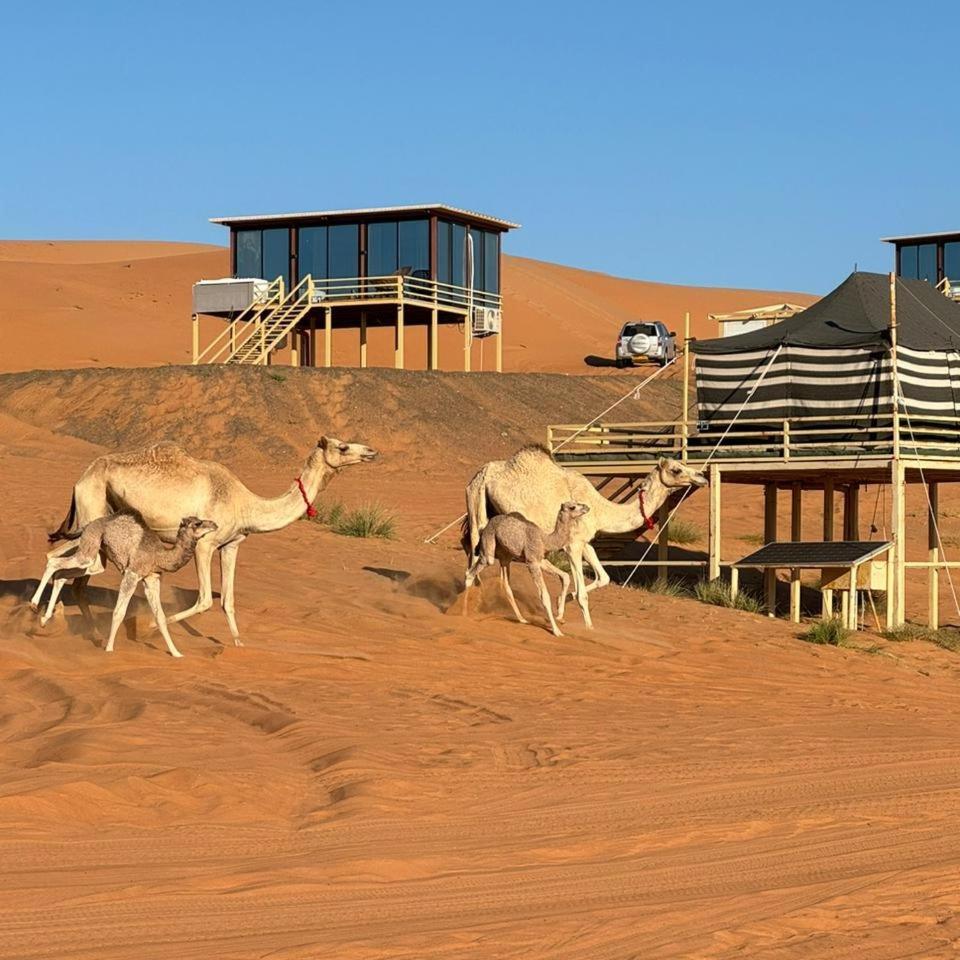 Oman Desert Private Camp Shāhiq Esterno foto